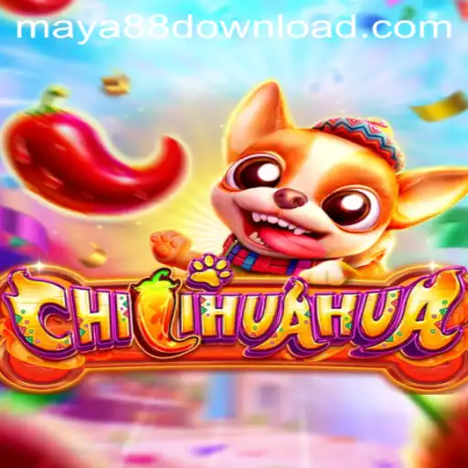 Discover the Exciting Adventure of CHILIHUAHUA